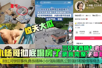 【强奸迷奸】惊天大瓜小杨哥彻底塌房了三只羊吞精齐老板录音完整字幕版附红河学院事件彝族精神小伙强制猥亵公路强奸和偷情等精选