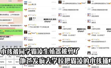 【自拍偷拍】合肥滨湖那边一个小孩被同学霸凌生殖器被剪了，他爸发疯去学校把霸凌的小孩捅了