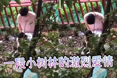 【自拍偷拍】一段小树林的激烈爱情