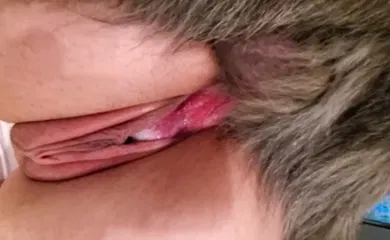 【人兽】兽交特写，这狗的蝴蝶结看着是真刺激啊